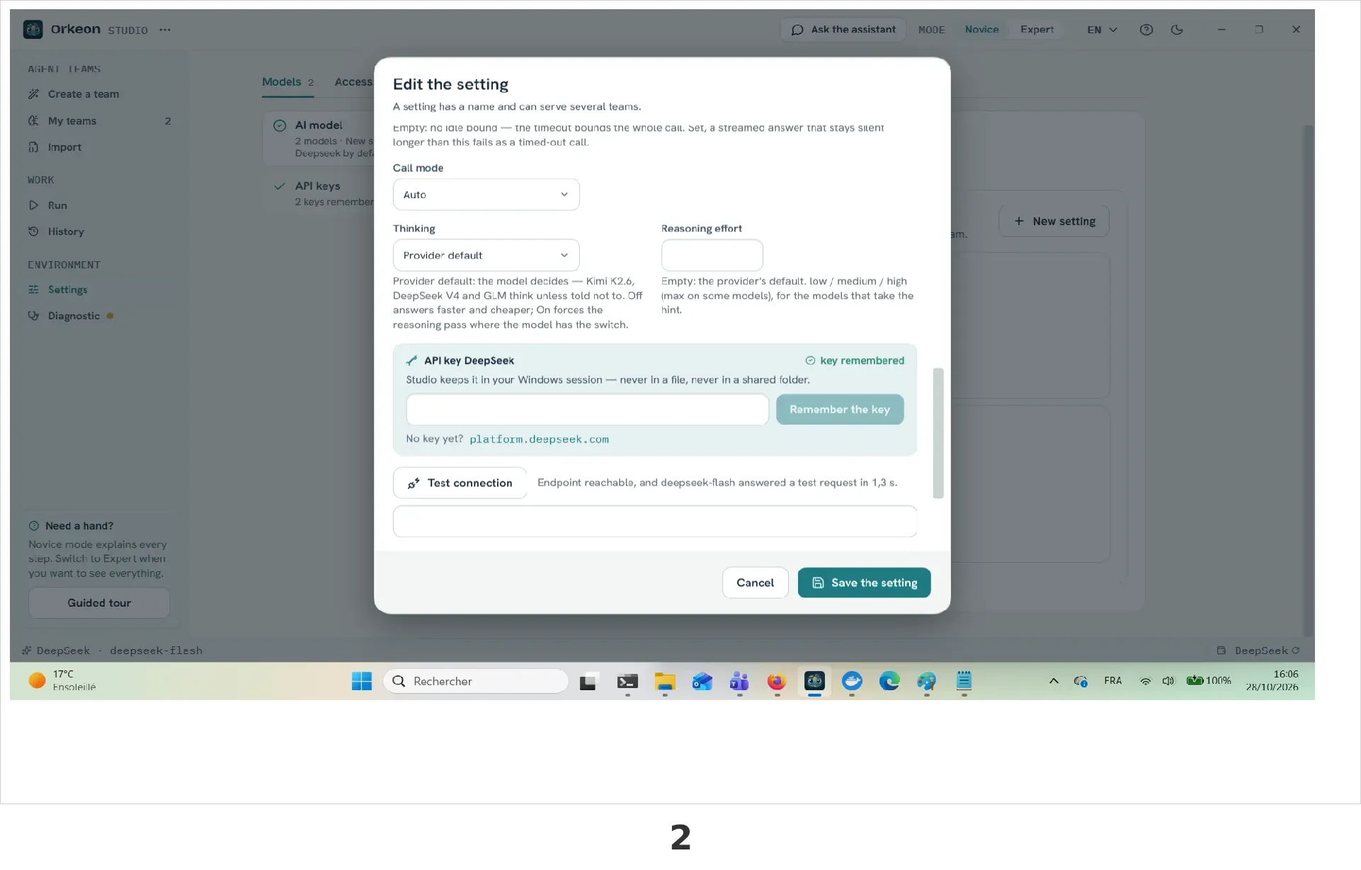 The DeepSeek card selected, the API key panel and the Test connection result.